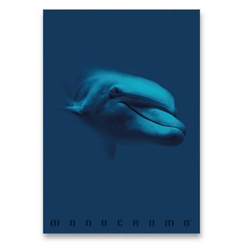 Školní sešit Monocromo Blue A4, linkovaný, 40 listů, mix motivů Kup Teď