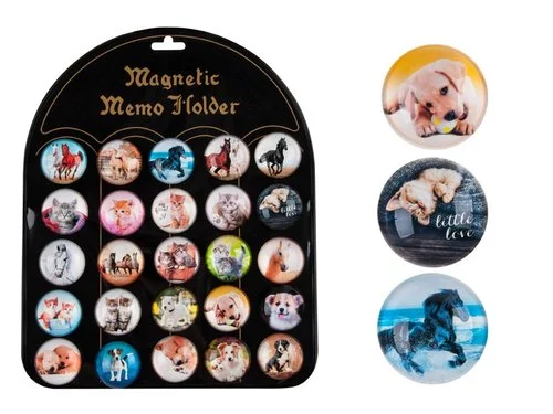 Nová Kolekce MFP Magnet dekorační kulatý 3,5cm mix 6 - zvířata